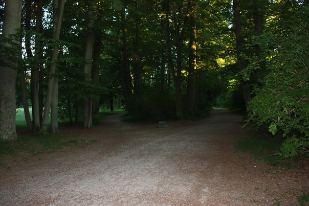 А давайте погуляем в этом сказочном парке? Куклы Zwergnase