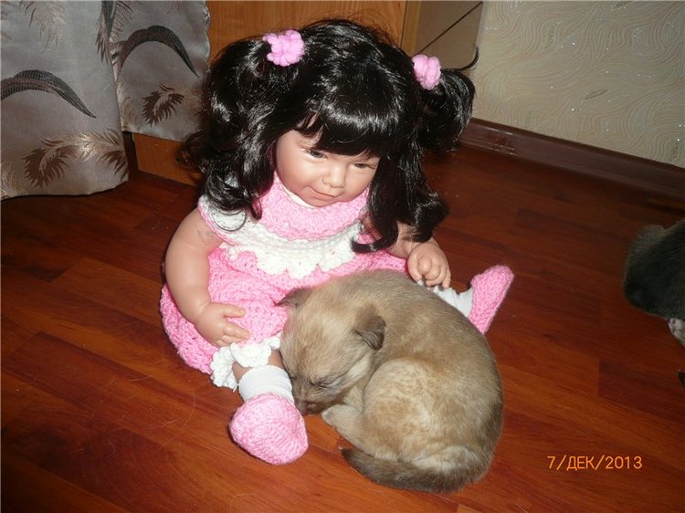 Куклы и собаки. Радость в нашем доме (фото 3)