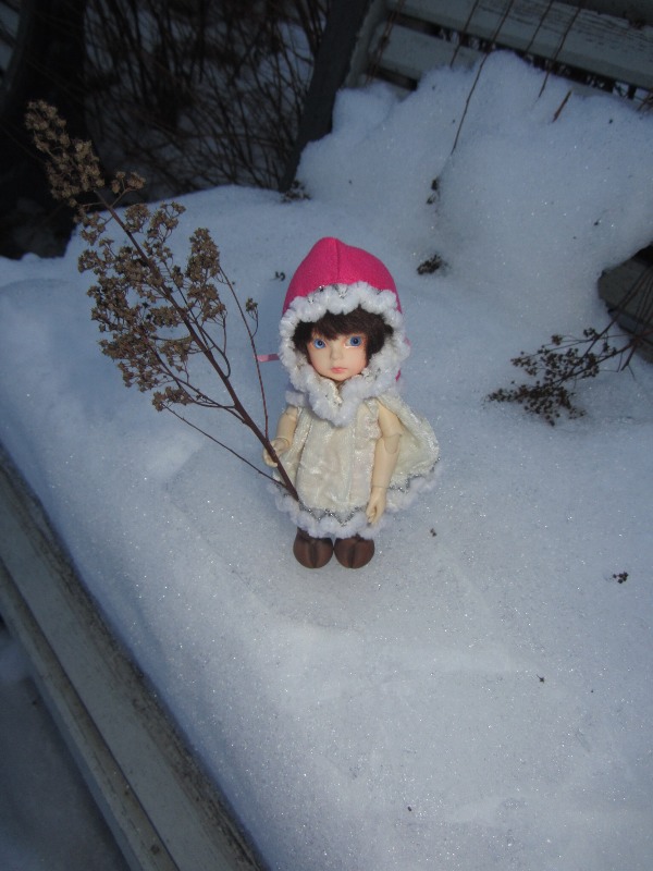 Олененок от Dollzone дома, мечта,которая исполнилась (фото 4)