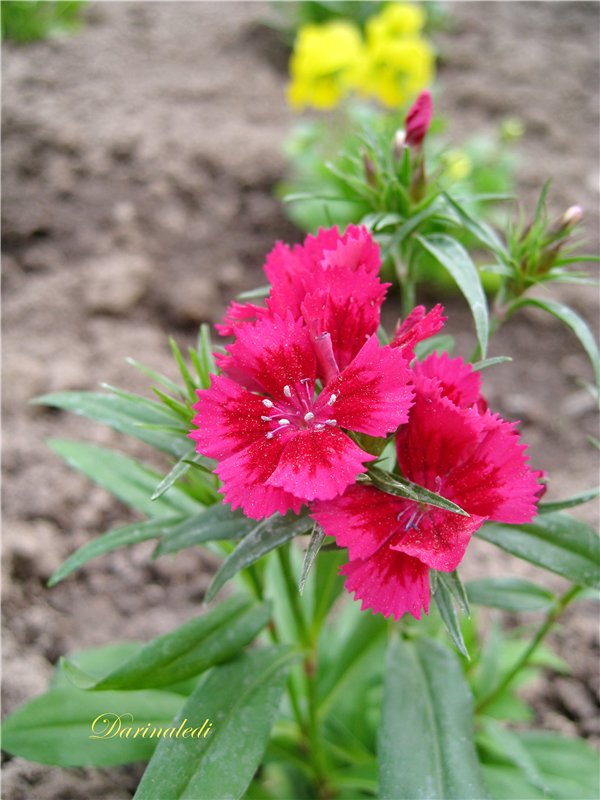 Открытие дачного сезона. Натали кукла Galoob Baby Face (фото 3)