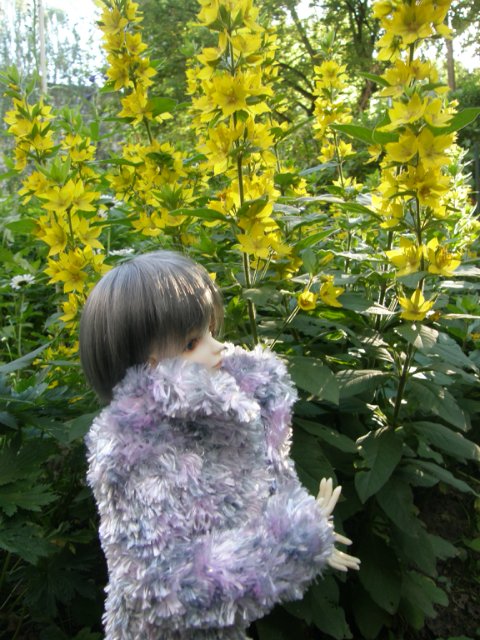 Холодное лето в цветах — Гибридизация кукол BJD (БЖД): пересадка головы (фото 7)