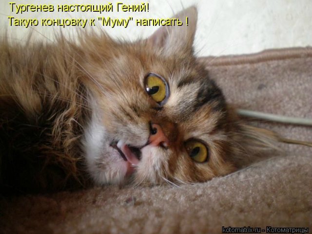 Море позитива) Для поднятия настроения (осторожно! много фото)))) | Бэйбики Море позитива) Для поднятия настроения (осторожно! много фото)))) (фото 9)