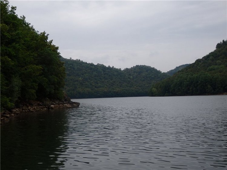 Лесная сказка или Варварка на Нугуше (фото 8)