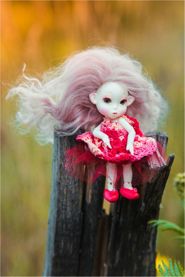 Немного лета на закате — Куклы Peaks Woods (Пиксвудс): BJD (БЖД) (фото 2)
