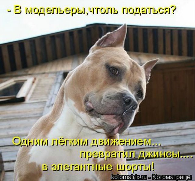 Понедельник - день тяжёлый | Бэйбики Понедельник - день тяжёлый