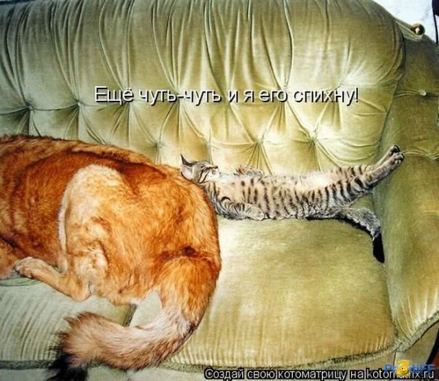 Море позитива) Для поднятия настроения (осторожно! много фото)))) | Бэйбики Море позитива) Для поднятия настроения (осторожно! много фото))))