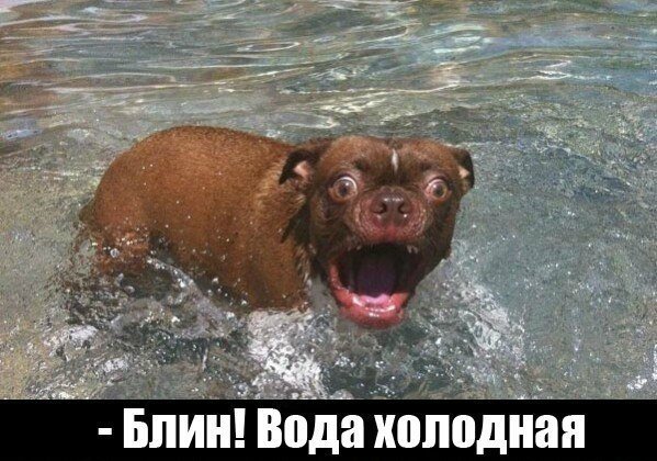 Понедельник - день тяжёлый | Бэйбики Понедельник - день тяжёлый