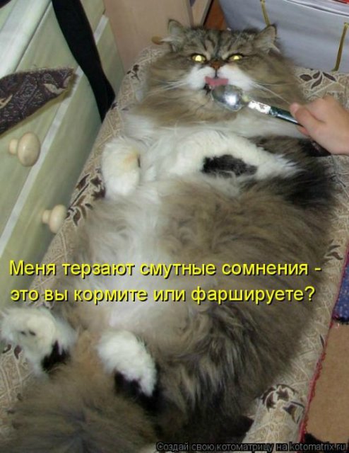 Море позитива) Для поднятия настроения (осторожно! много фото)))) | Бэйбики Море позитива) Для поднятия настроения (осторожно! много фото))))