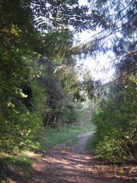 Лерочка и небольшое путешествие по Тверской области