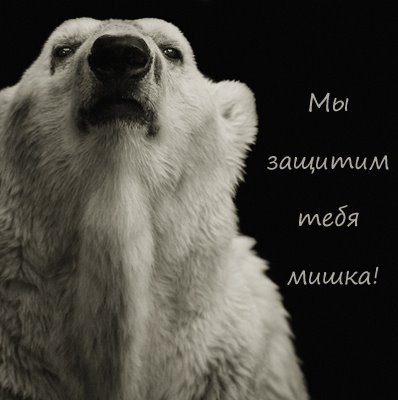 Если ты любишь животных, оставь их дикими... Мия и Кука встали на защиту животных