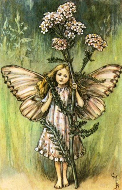 Долгая жизнь цветочных фей от иллюстраций Cicely Mary Barker до кукол Birgitte Frigast