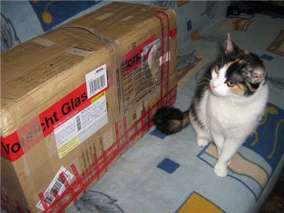 УльЯна "Jana" von Gaby Jaques