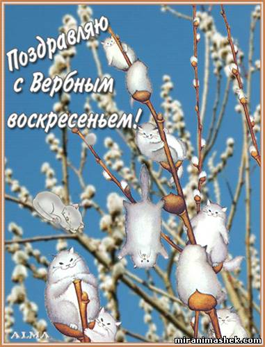 Сегодня праздник - Вербное Воскресенье