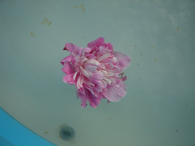 Вся коллекция в сборе! Бабси, Mари и Катрина от Zapf