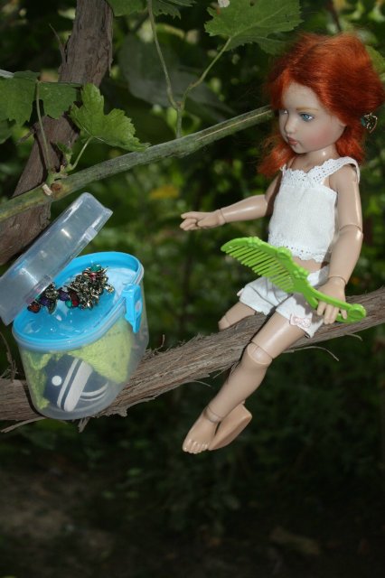 Один день из жизни цветочной феи. Бетани от Helen Kish | Бэйбики Один день из жизни цветочной феи. Бетани от Helen Kish (фото 7)