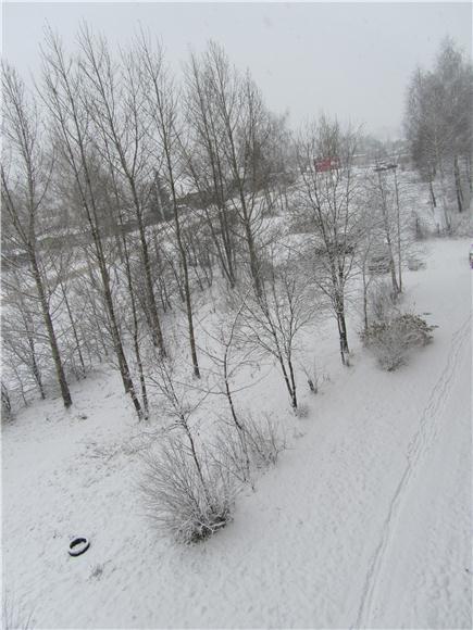 Просто наступила зима… — Одежда и обувь для кукол BJD (БЖД): 1/3 (фото 2)