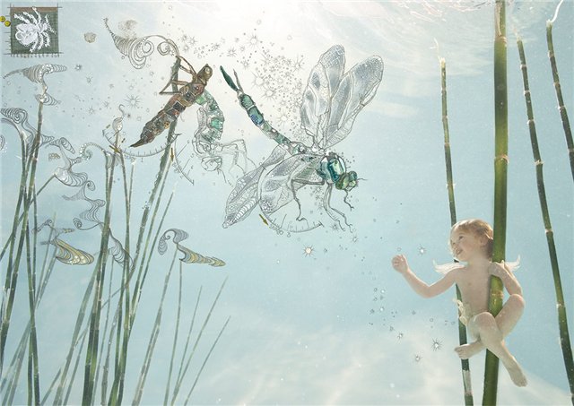 Дети под водой глазами фотографа Зены Холловей (Zena Holloway)