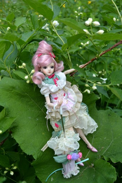 Девушка-пион: джеечка La Rue de Rivoli (J-doll)