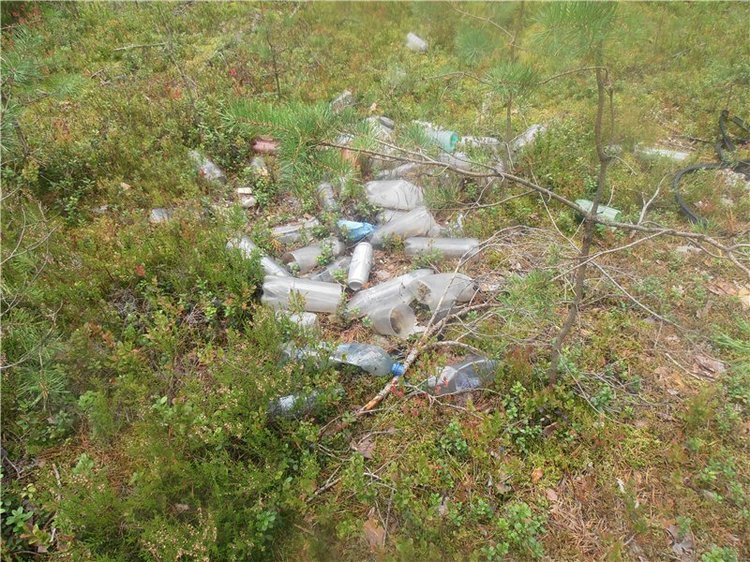 Любителям природы и походов за грибами