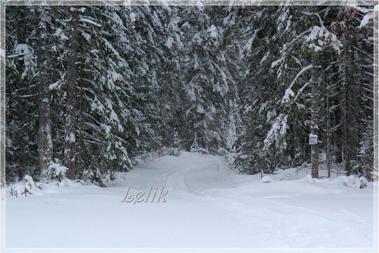 12 месяцев, или как Тамира за подснежниками ходила ) (фото 4)