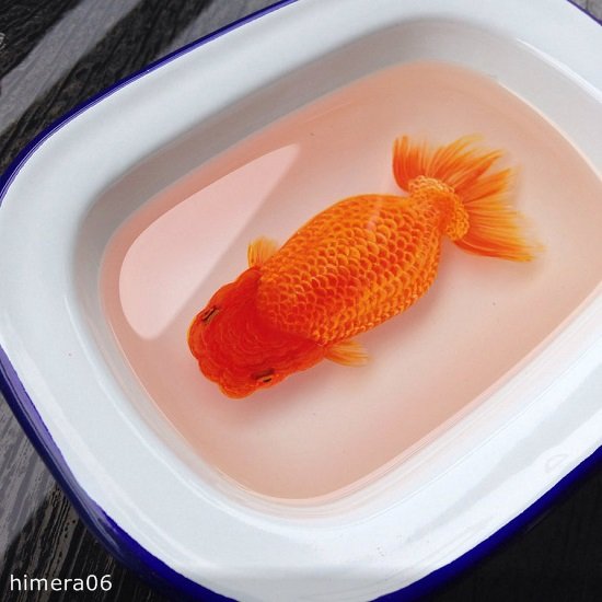 Живопись акрилом и лаком от Кенга Лая (Keng Lye)