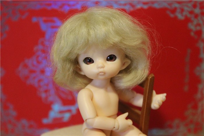 Пополнение в горшковой группе :) (Fairyland pukipuki Niko, Ante, Ruby)