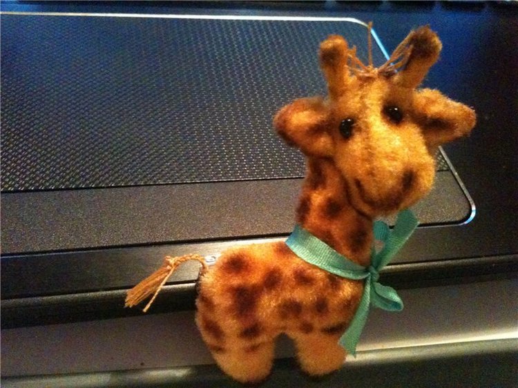 Яркий лучик на Тишинкой площади. Moscow Fair 2015. Фотоотчет | Бэйбики Яркий лучик на Тишинкой площади. Moscow Fair 2015. Фотоотчет