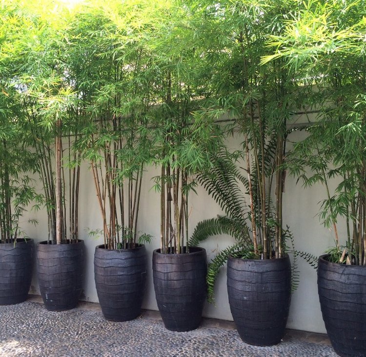 Груня-путешественница. Как маленькая девочка осваивала Таиланд. Вторая часть