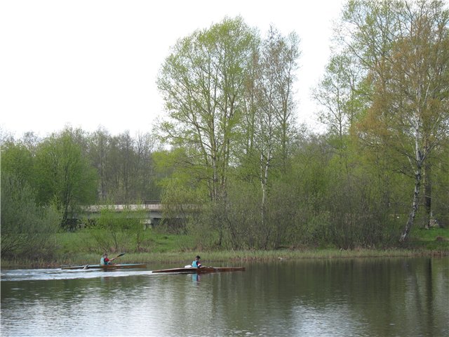 В гостях у сказки... У друзей в Тверской области (фото 6)