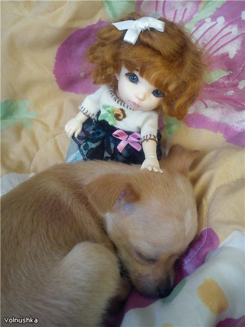 Праздничное преображеньице :) - наряды для кукол БЖД (фото 4)