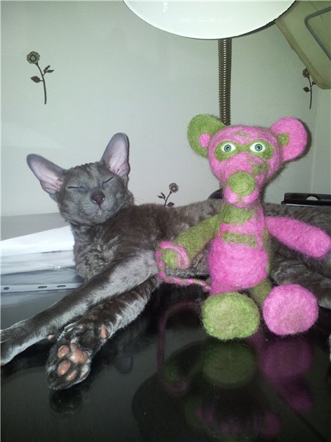 То ли мышка, то ли мишка. Валяние из шерсти (фото 2)