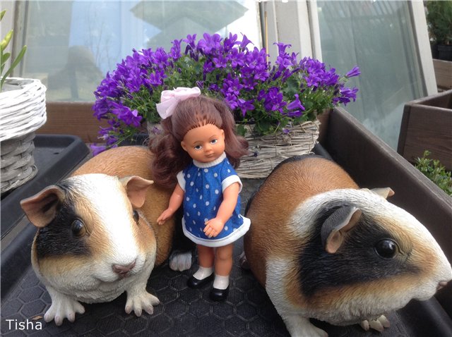 Маленькие садовники или весна в Аптекарском огороде (фото 6)