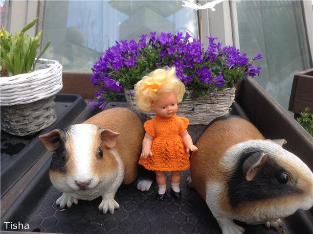 Маленькие садовники или весна в Аптекарском огороде