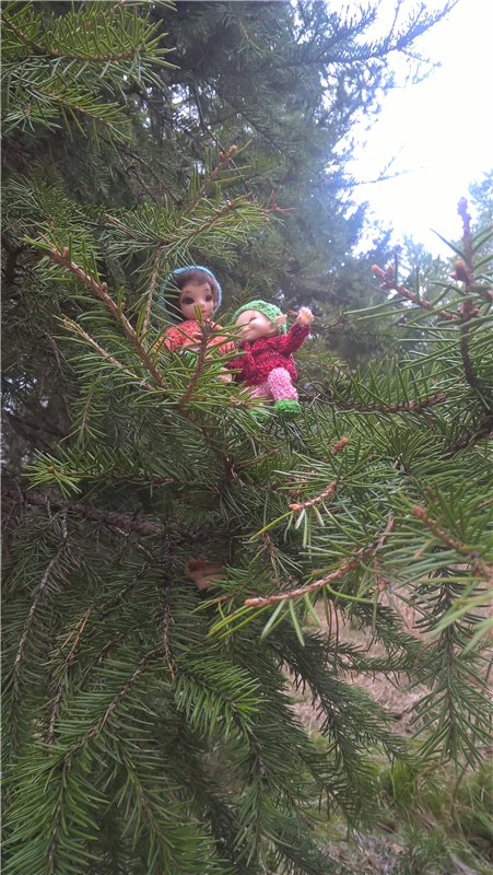 Весенняя работа лесных эльфов (фото 10)