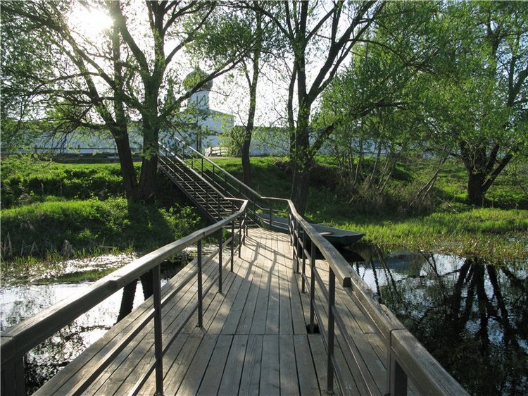 Прогулка с Райли. Riley от автора Helen Kish