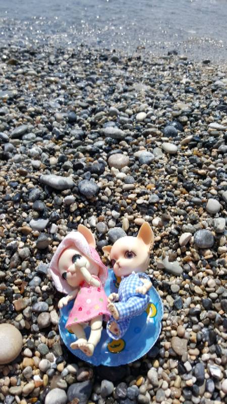 Новое путешествие Панг-Панга (фото 3)