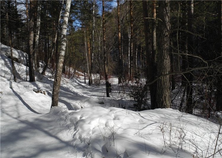 Моя весна итоги конкурса и фото которые ещё не видел никто