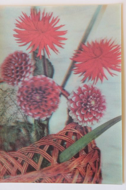 Моя коллекция объёмных открыток:) | Бэйбики Моя коллекция объёмных открыток:)