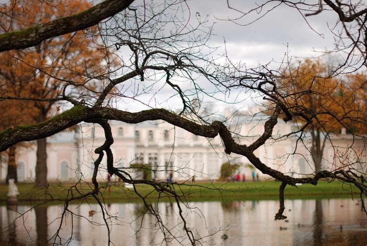 Сегодня я турист. Ораниенбаум