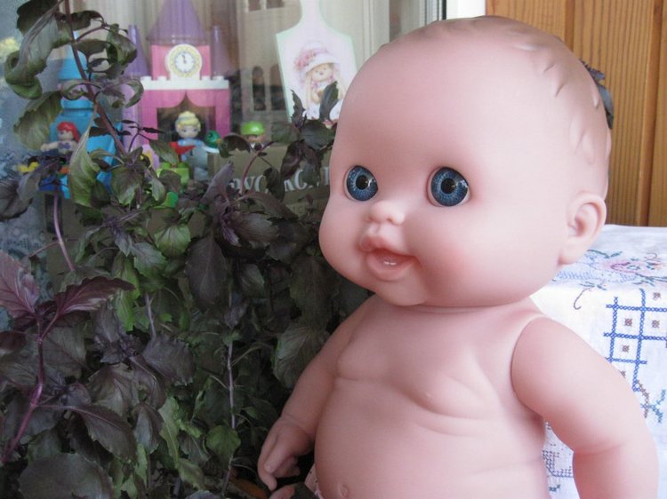 Глазастик и другие куколки