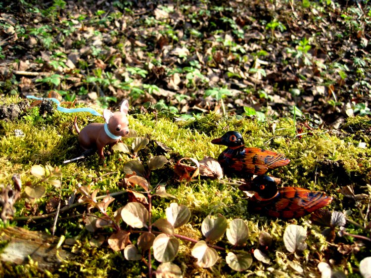 Прогулка в парке. Галочка - коллекционная куколка Дианы Эффнер