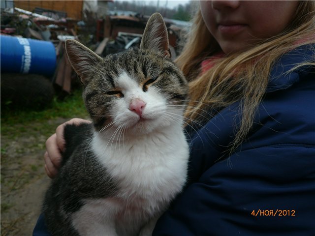 Кукла Адора - мое Солнышко