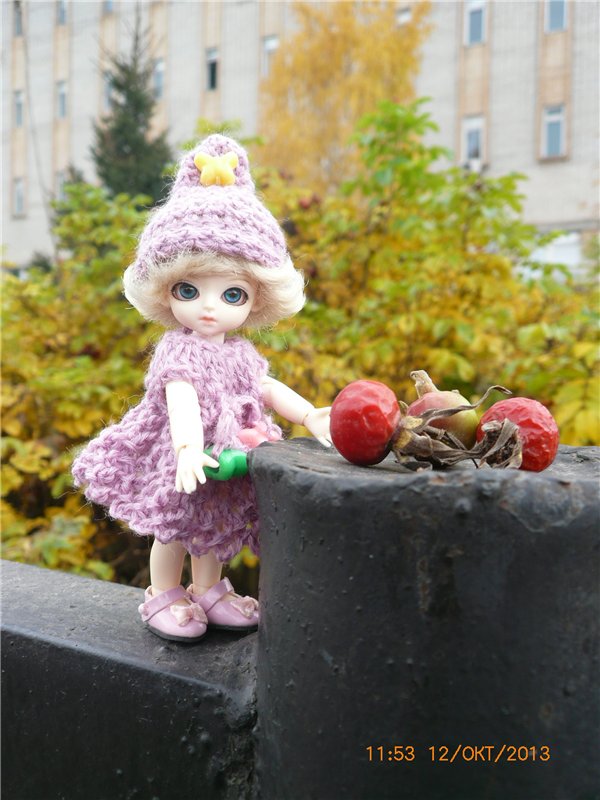 Золотая осень. Сосенка Пин - куколка БЖД | Бэйбики Золотая осень. Сосенка Пин - куколка БЖД (фото 5)