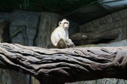 Воронежский океанариум — Туризм и путешествия: фотоотчеты из поездок