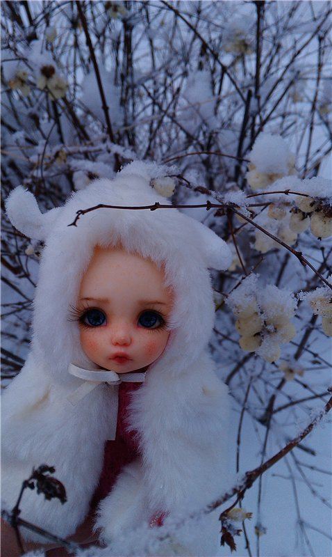 В гостях у сказки... Путешествие на Алтай (фото 4)