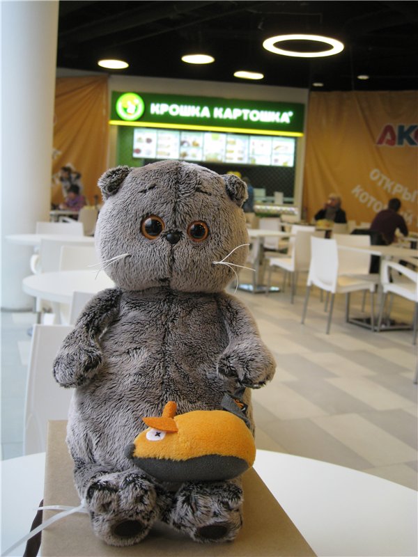 Кошки-мышки! Котик Басик — Кот Басик (фото 2)