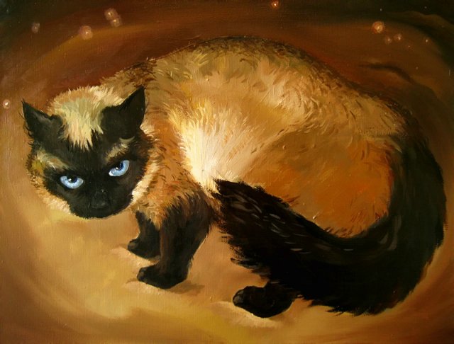 «Мяу» особого назначения или Весенняя кошкотерапия