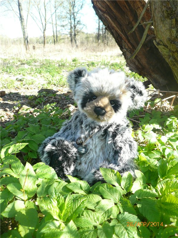 Про Мишку. Коллекционный Мишка Панда от Charlie Bears (фото 5)