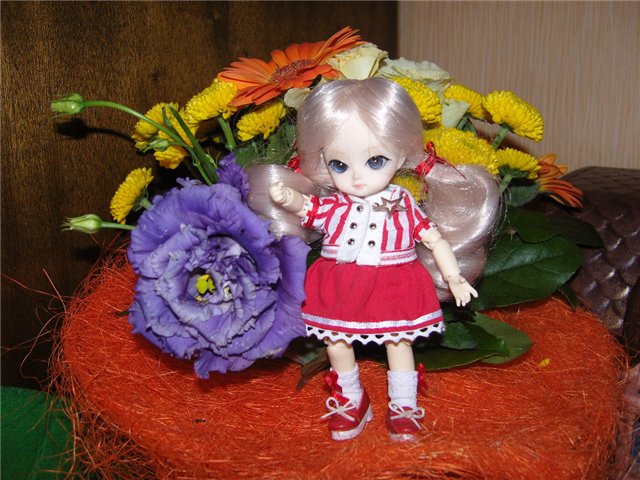 В моем новом домике новоселы (фото 2)