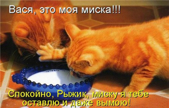 Море позитива) Для поднятия настроения (осторожно! много фото)))) | Бэйбики Море позитива) Для поднятия настроения (осторожно! много фото))))